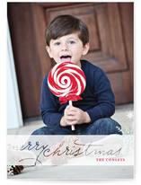 Frosted Christmas Christmas Photo Cards