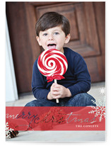 Frosted Christmas Christmas Photo Cards