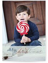 Frosted Christmas Christmas Photo Cards