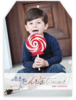 Frosted Christmas Christmas Photo Cards
