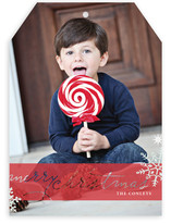 Frosted Christmas Christmas Photo Cards