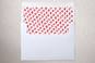Slip-In Envelope Liners