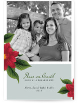 Peace Poinsettia Christmas Photo Cards