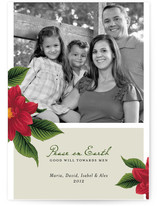Peace Poinsettia Christmas Photo Cards