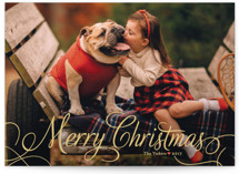 Classic Merry Christmas Photo Cards