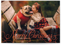 Classic Merry Christmas Photo Cards