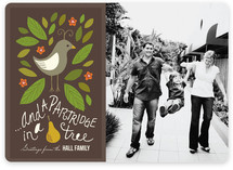 In a Pear Tree Christmas Photo Cards