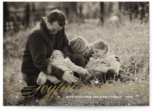 Joyful Wishes Christmas Photo Cards