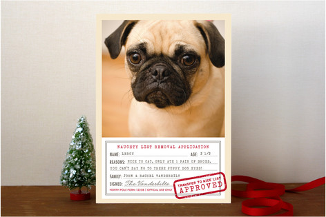 North Pole Form 1225B Christmas Photo Cards