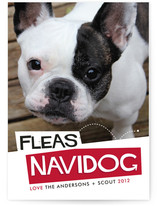 Fleas Navidog Christmas Photo Cards