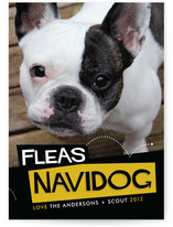 Fleas Navidog Christmas Photo Cards