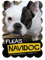 Fleas Navidog Christmas Photo Cards