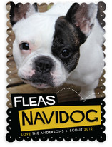 Fleas Navidog Christmas Photo Cards