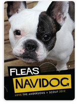 Fleas Navidog Christmas Photo Cards