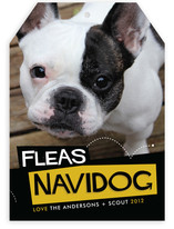 Fleas Navidog Christmas Photo Cards