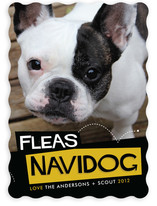 Fleas Navidog Christmas Photo Cards