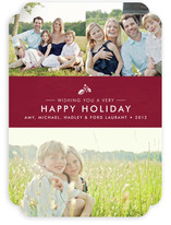Splendid Pinecone Christmas Photo Cards