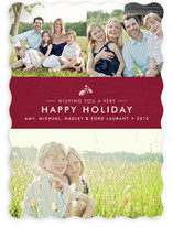 Splendid Pinecone Christmas Photo Cards