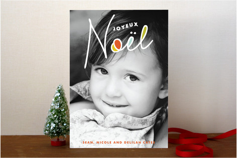 A New Noel Christmas Photo Cards