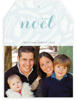 Winter Foliage Christmas Photo Cards