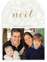 Winter Foliage Christmas Photo Cards