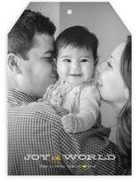 Jingle and Joy to the World Christmas Photo Cards
