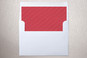 Slip-In Envelope Liners