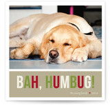 Bah Humbug Christmas Photo Cards