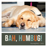 Bah Humbug Christmas Photo Cards