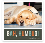 Bah Humbug Christmas Photo Cards