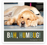 Bah Humbug Christmas Photo Cards