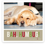 Bah Humbug Christmas Photo Cards