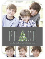 Arbor Peace Christmas Photo Cards