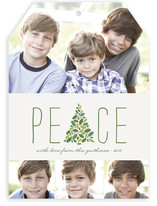 Arbor Peace Christmas Photo Cards