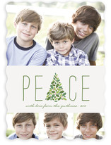 Arbor Peace Christmas Photo Cards