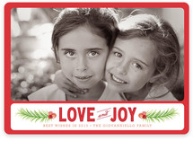 Cedar and Berries Christmas Photo Cards