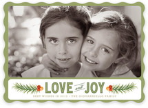 Cedar and Berries Christmas Photo Cards