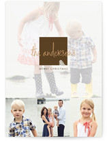Frosted Pinecone Christmas Photo Cards