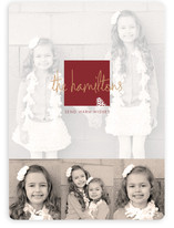 Frosted Pinecone Christmas Photo Cards