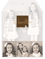 Frosted Pinecone Christmas Photo Cards
