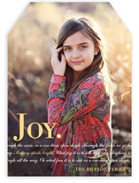 Holiday Nostalgia Christmas Photo Cards