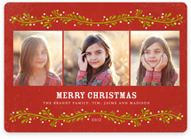 French Berries Christmas Photo Cards