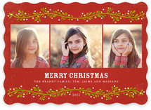 French Berries Christmas Photo Cards