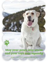 Frosty Paws Christmas Photo Cards