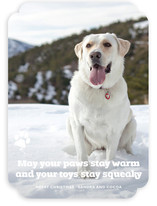 Frosty Paws Christmas Photo Cards