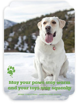 Frosty Paws Christmas Photo Cards