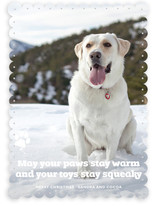 Frosty Paws Christmas Photo Cards