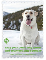 Frosty Paws Christmas Photo Cards