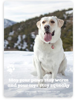 Frosty Paws Christmas Photo Cards