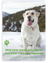 Frosty Paws Christmas Photo Cards